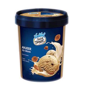 Vadilal Anjeer Ice Cream (500 ML)