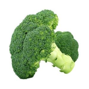 Fresh Broccoli 1 Bunch