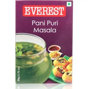 Everest Pani Puri Masala 100 GM